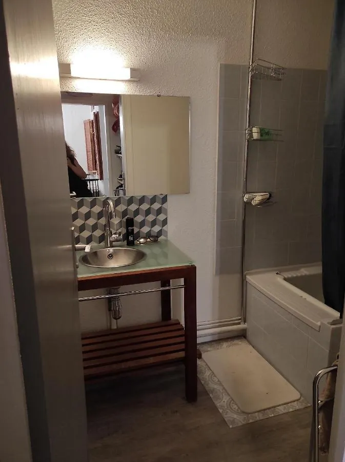 Le Refuge Des Gentianes Apartment Besse-et-Saint-Anastaise 0*,